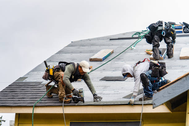 Professional Storm Damage Roof Repair technician working in Bolivar, PA